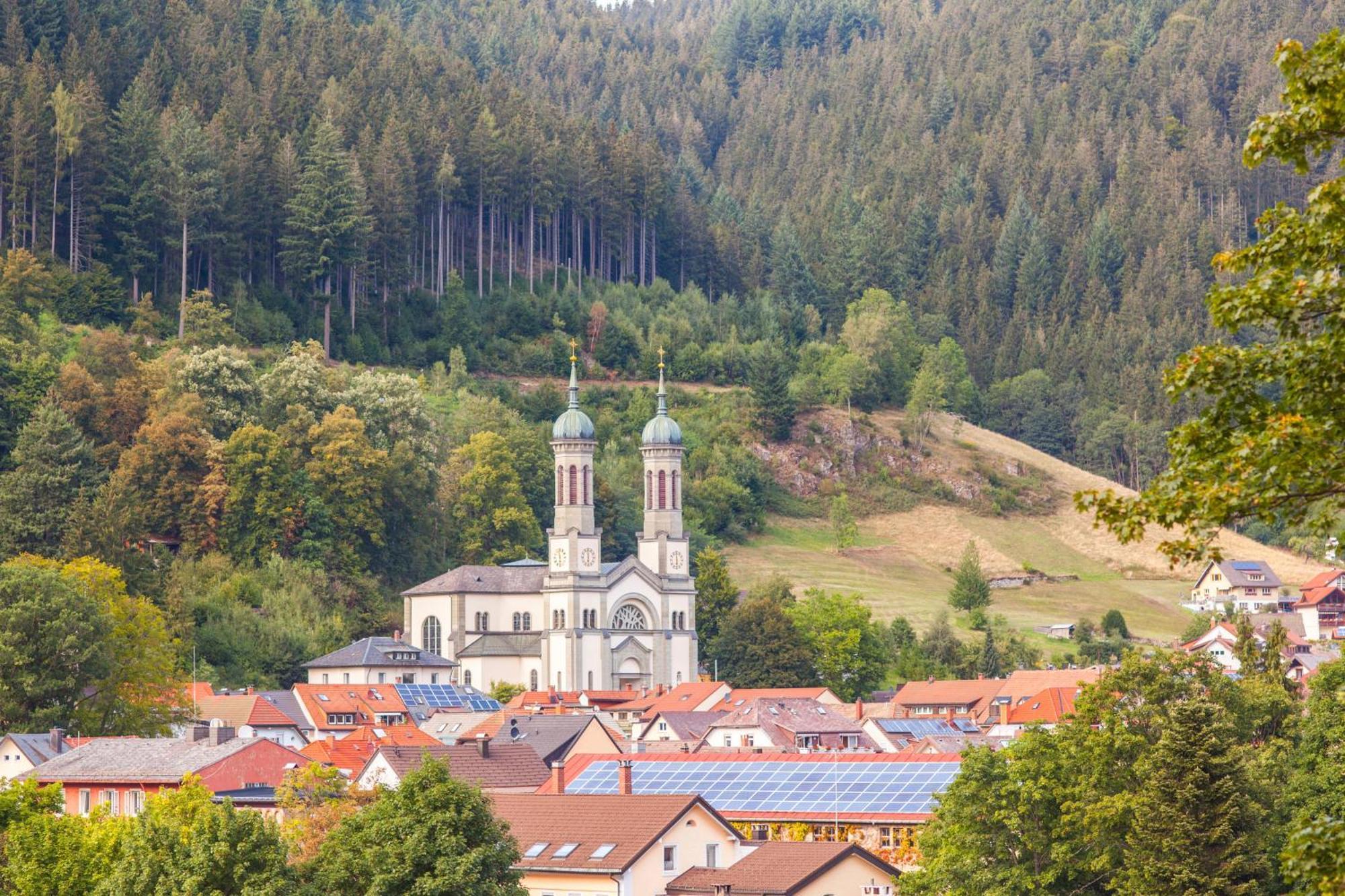 Ferienwohnung Radhaus, Todtnau, 3 Schlafzimmer ภายนอก รูปภาพ